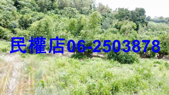 台南關廟農地-3