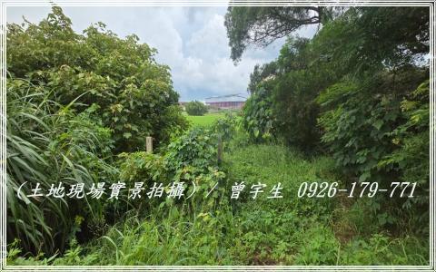 桃園觀音農地-4