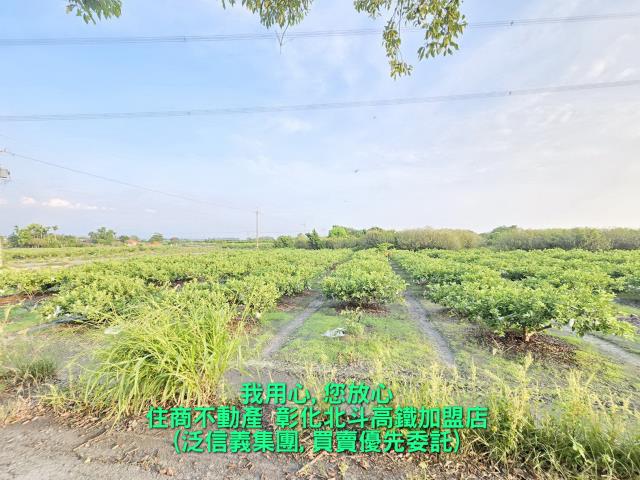 彰化溪州農地-1