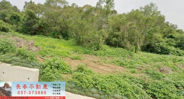 苗栗通霄農地-1