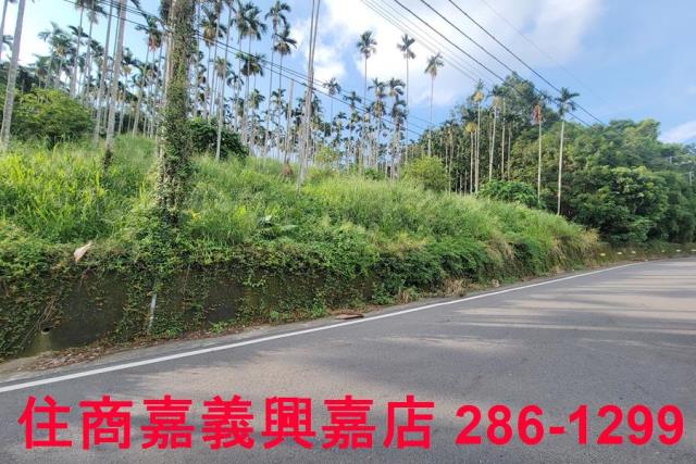 嘉義中埔農地-9