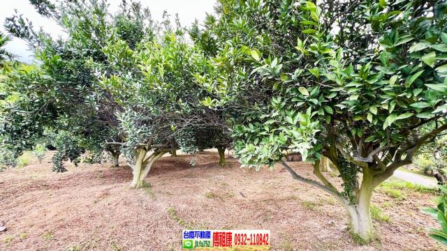 新竹峨眉農地-10