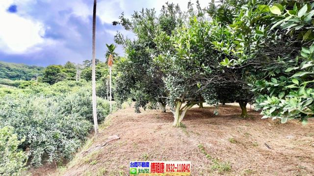 新竹峨眉農地-12