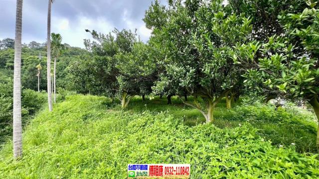 新竹峨眉農地-13