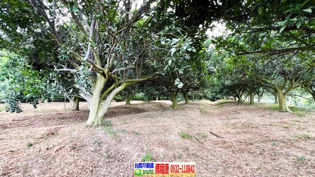 新竹峨眉農地-5