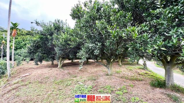 新竹峨眉農地-8