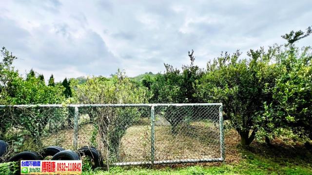 新竹峨眉農地-9