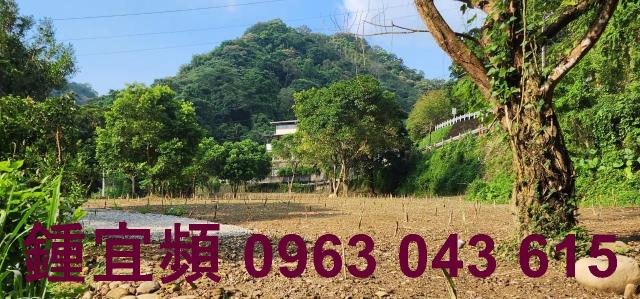 芎林農地-11