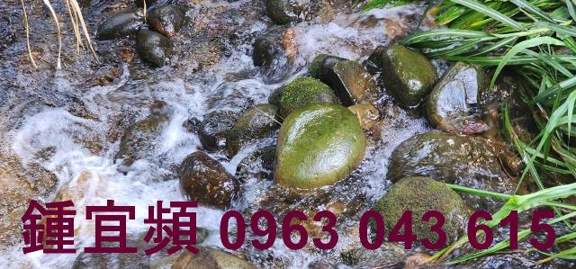芎林農地-13
