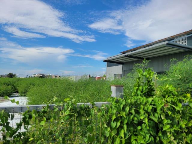 台中大雅農地-1