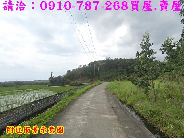 長濱農地-6