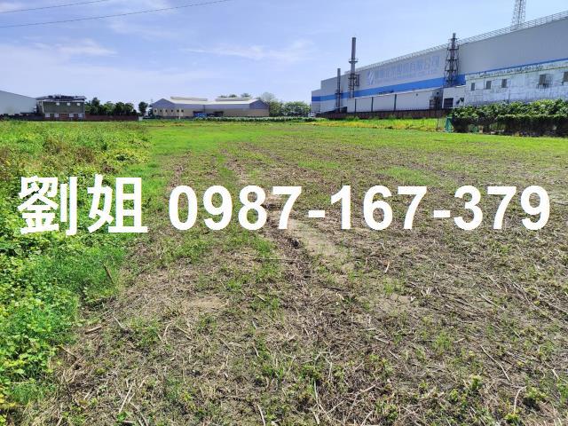橋頭農地-1