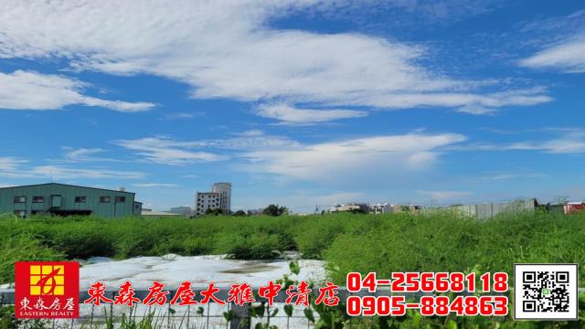 大雅農地-3
