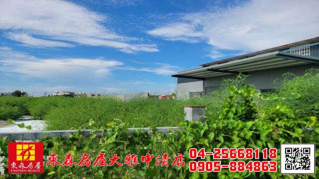 大雅農地-4