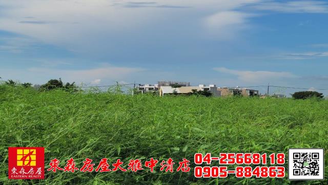 大雅農地-5