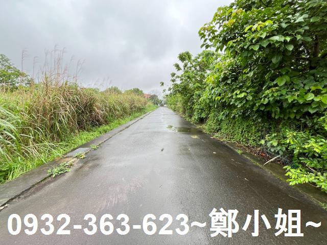 桃園龍潭農地-3