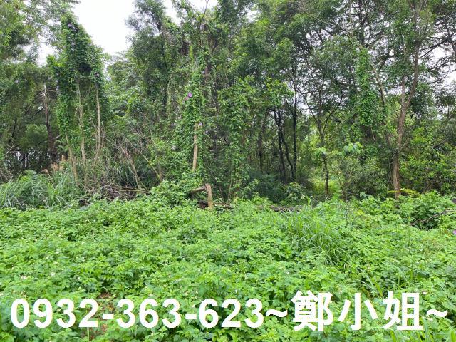 桃園龍潭農地-9