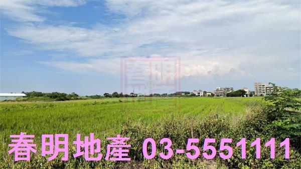 新豐農地-1