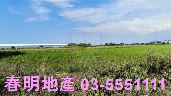 新豐農地-3