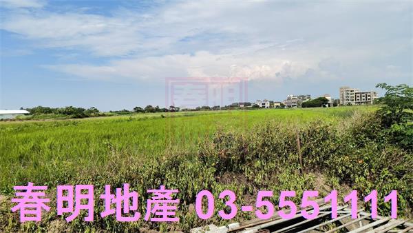 新豐農地-5