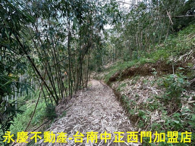 台南林地-10