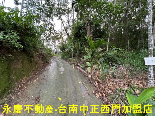 台南林地-12