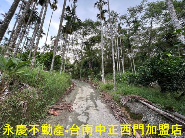 台南林地-14