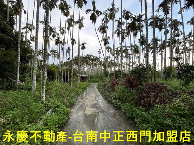 台南林地-1