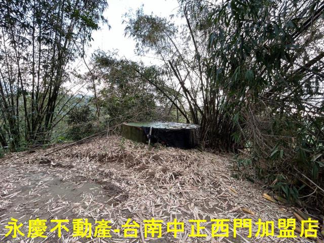 台南林地-3