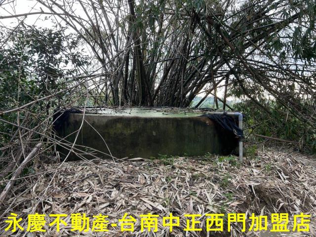 台南林地-5