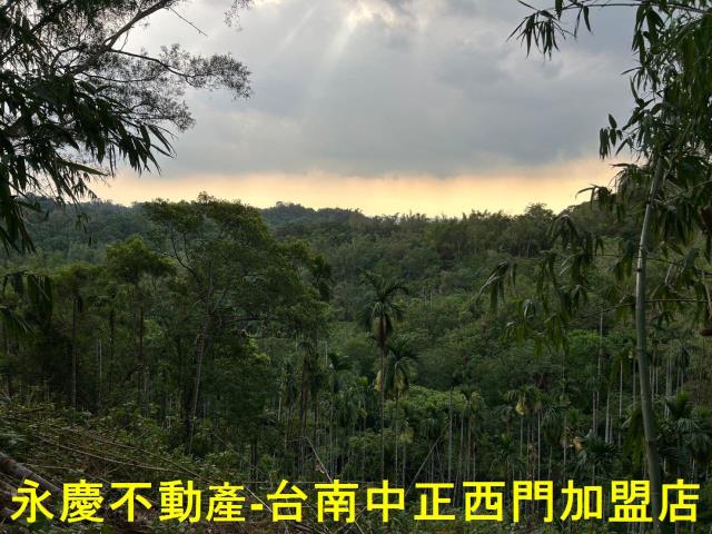 台南林地-7