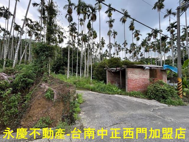 台南白河林地-1