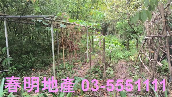 新竹農地-3