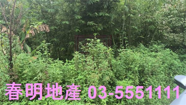 新竹農地-6