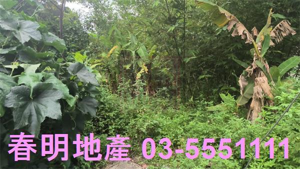 新竹農地-7