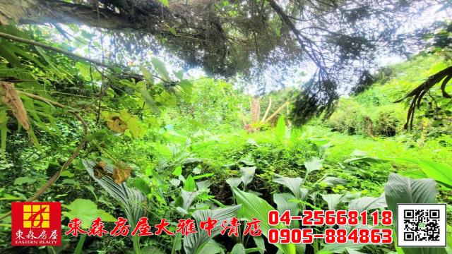 台中新社農地-14