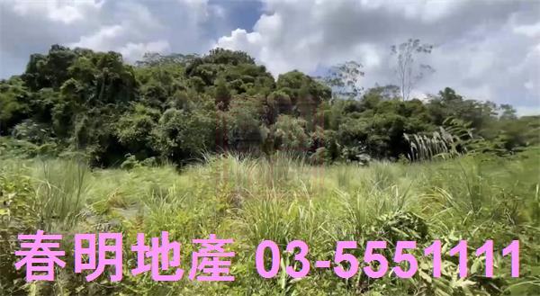苗栗三灣農地-3