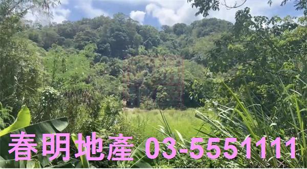 苗栗三灣農地-5