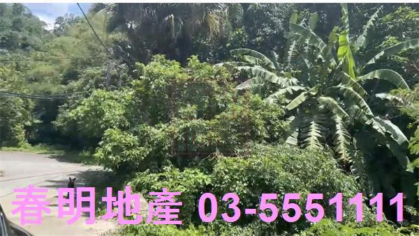 苗栗三灣農地-6
