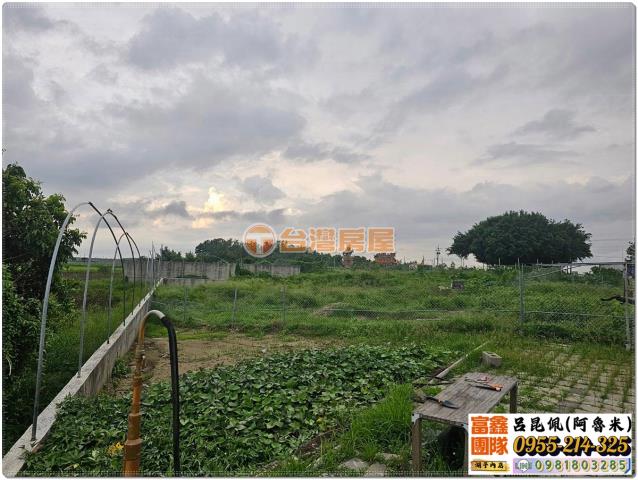 六腳農地-3
