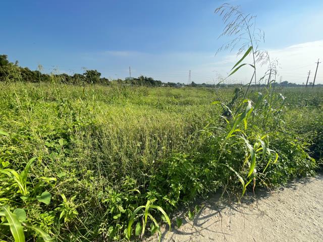 高雄阿蓮農地-10