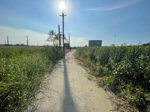 高雄阿蓮農地-11
