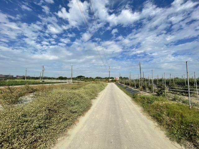 高雄阿蓮農地-1