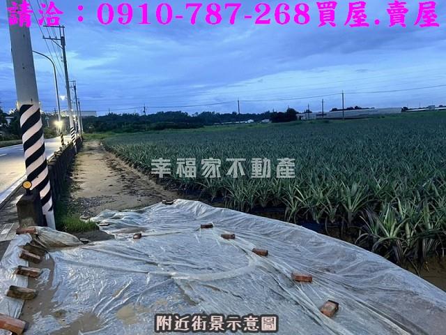 台南山上農地-10