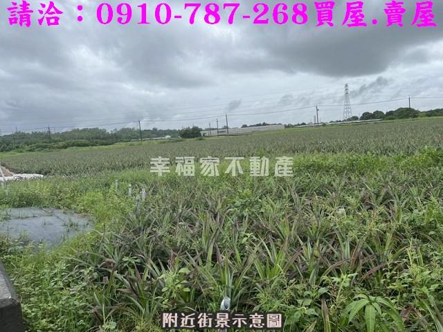 台南山上農地-7