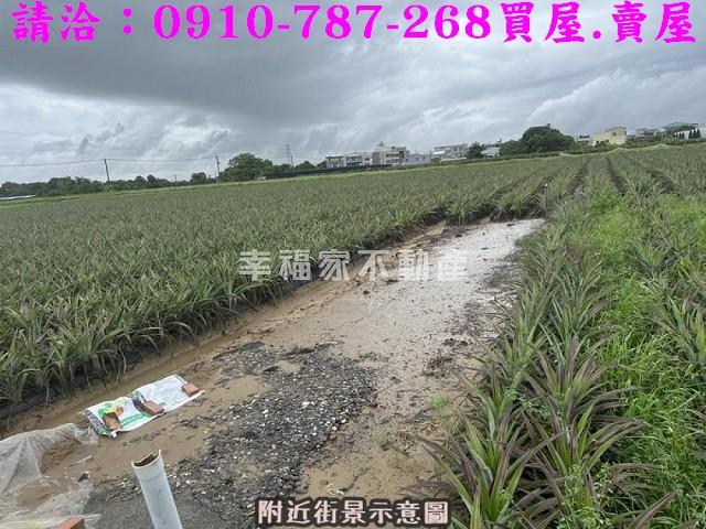 台南山上農地-8