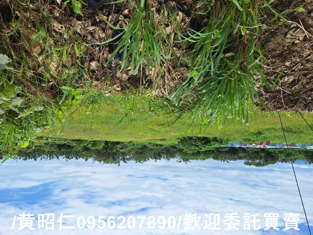 山上農地-9