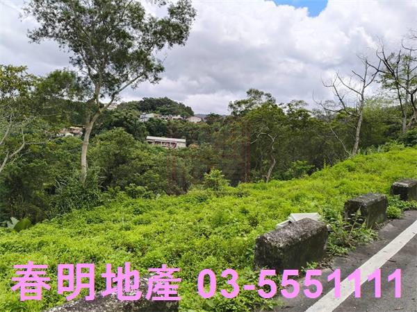 北埔農地-3