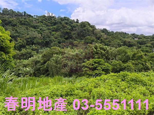 北埔農地-4