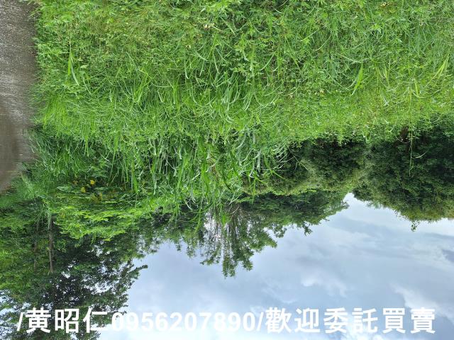 台南左鎮農地-5
